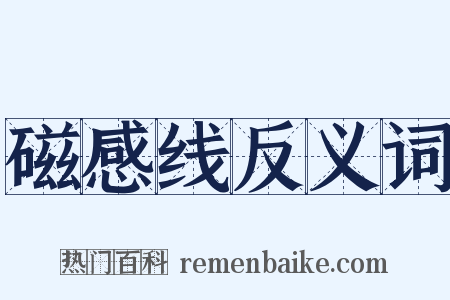 磁感线反义词是什么意思的图片